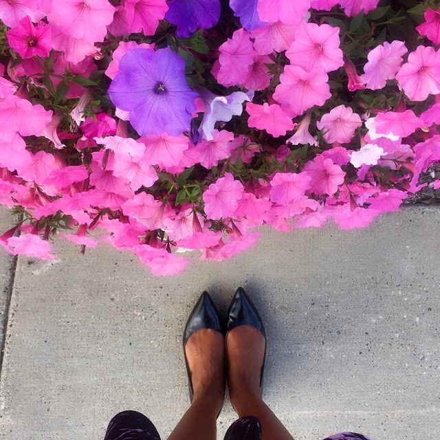 Pointed toe flats Pointed toe flats, Leather flats, Affordable fashion, Shopping online