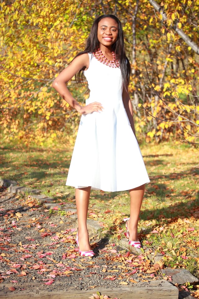 Fall fashion, Flare dress, midi dress, midi dress, reversible necklace, stripe sandals, fashion blogger, Alaska blogger