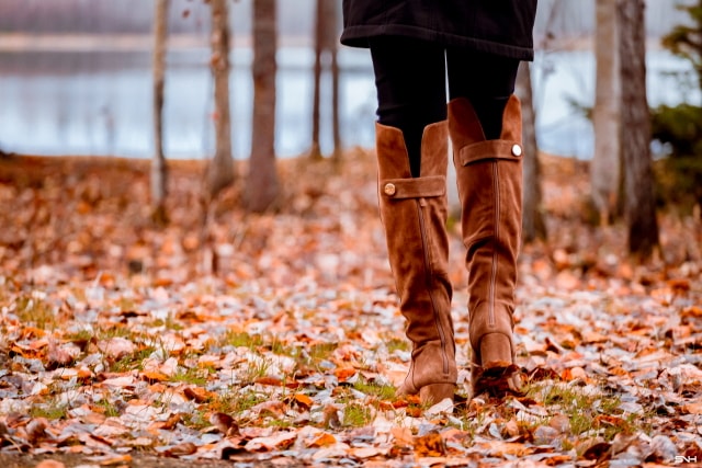 coach and four lattica riding boot