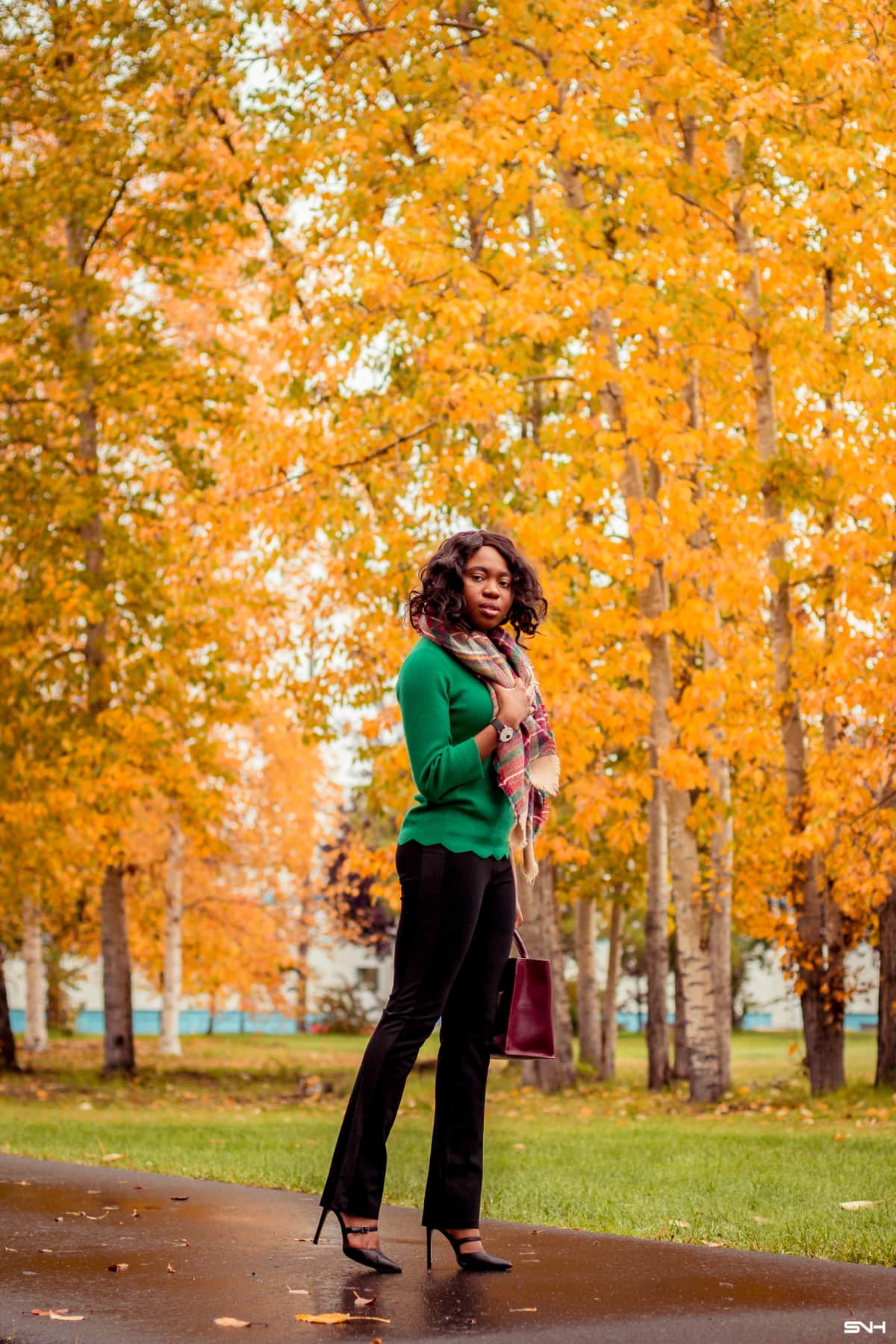Betabrand dress 2024 pants