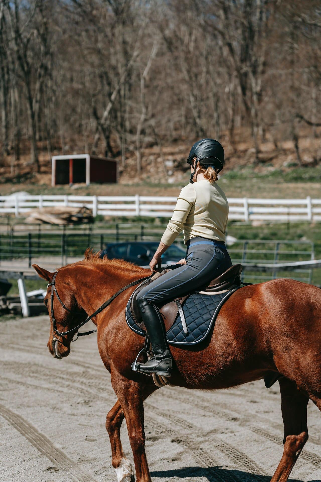 Summer Horseback Riding