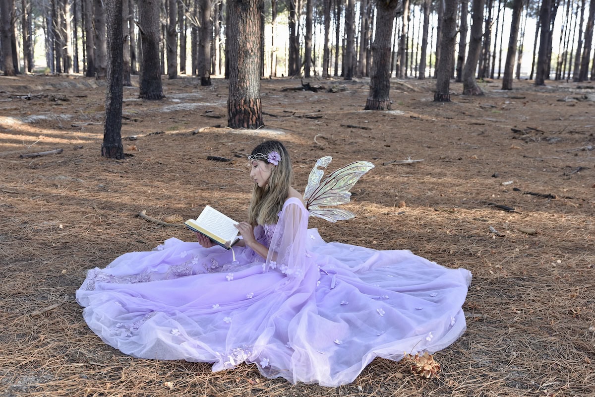 fairy costume