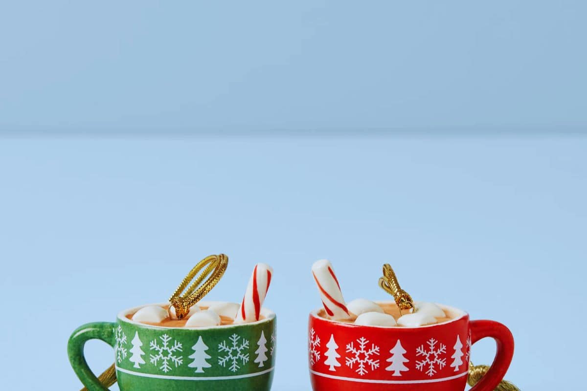 neighbor christmas gifts