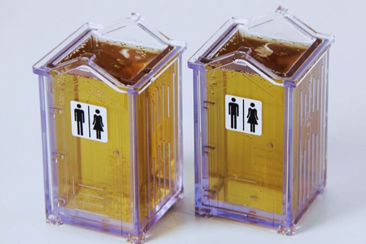 funny white elephant gifts
