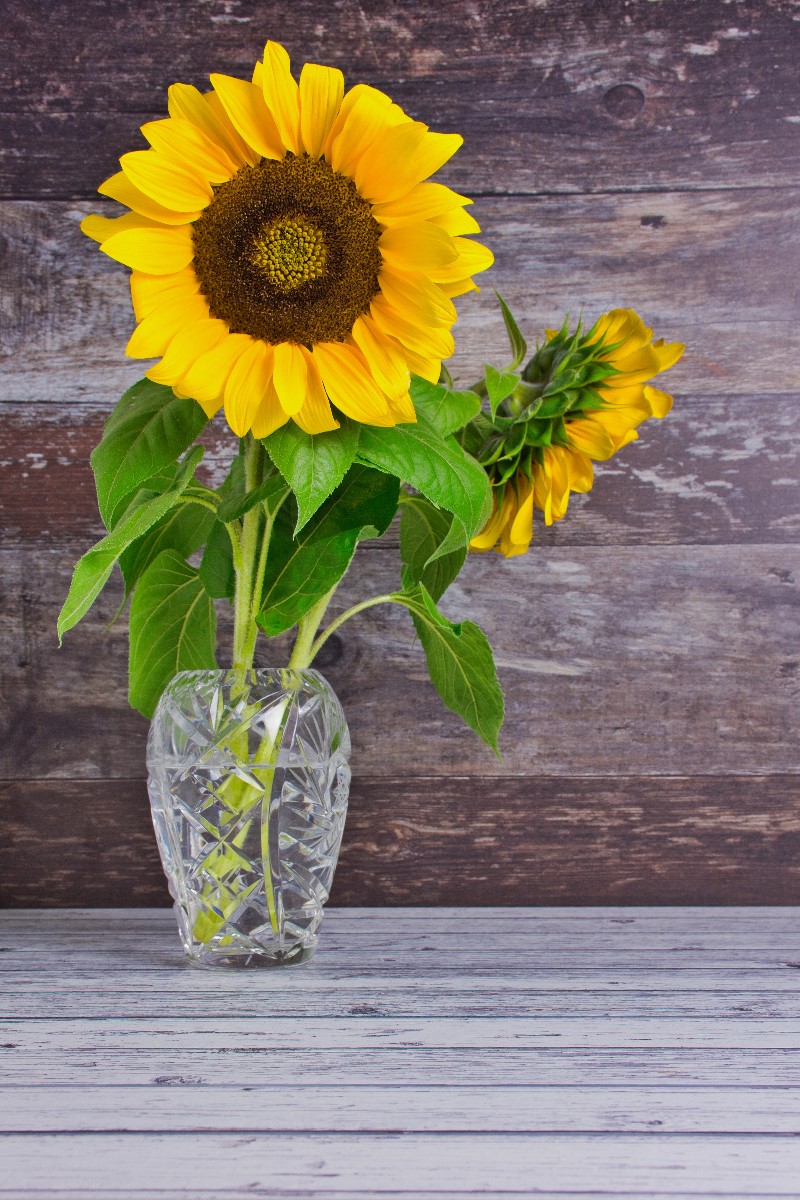 Hand Blown Glass Vase with Fresh Flowers1