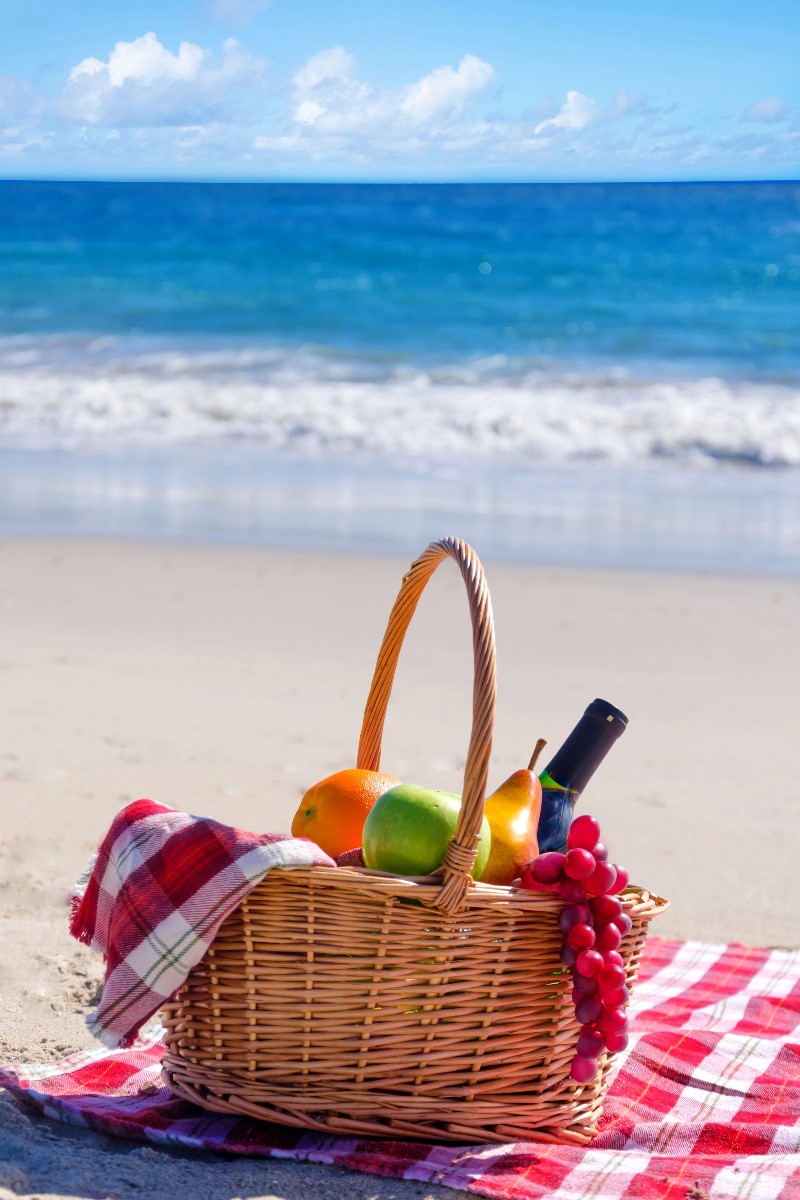 Luxury Picnic Basket with Blanket and Wine Holder